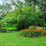 Your prenatal yoga classes Lotus Pond Center For Yoga And Health in Tampa in Hillsborough