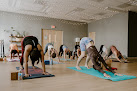 Your prenatal yoga classes The Nest Movement Studio in Elkridge in MD