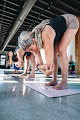 Your prenatal yoga classes Tribe Yoga And Wellness in West Columbia in SC