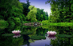 Your prenatal yoga classes Yoga For Daily Living in Groton in MA